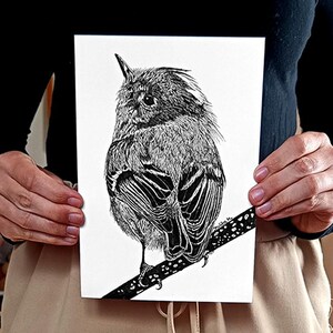 Gedetailleerde vogel fijne lijntekening, zangvogelkunst voor moderne boerderij, interieur in natuurlijke stijl, robijn gekroonde koningskoning, cadeau voor kunstverzamelaar