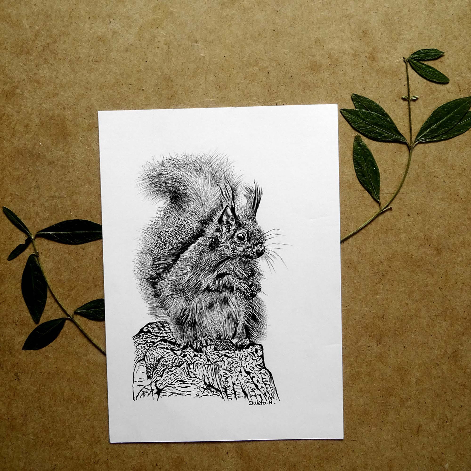 Red Squirrel Original Ink Drawing Wall Decor Woodland Animal - Etsy