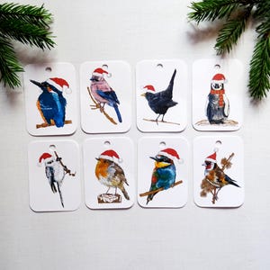 Set di 8 etichette regalo di Natale, confezione di uccellini festivi assortiti, confezioni regalo per le feste per la famiglia, etichette appese a forma di Babbo Natale con ornamenti luccicanti