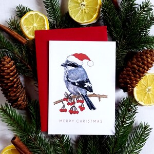 Carte de Noël pie-grièche grise, oiseau chanteur de Noël avec ornement de fruits, carte pour notes sur le thème festif de l'hiver, cadeau de luxe pour amateur d'oiseaux
