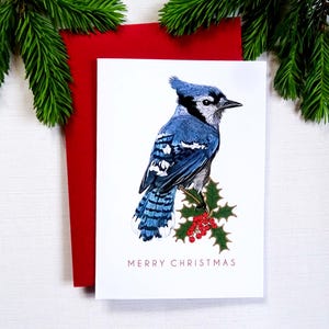 Blue Jay Merry Christmas Card, Nature Inspired Card for Sister, Evergreen Holiday Greeting with Winter Bird, Special Xmas Gift for Mom