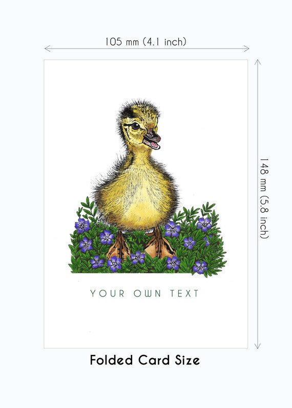 Duckling Lettering