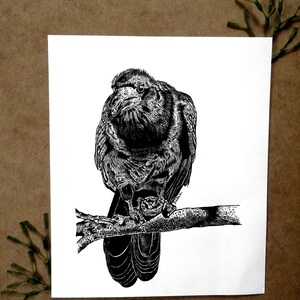 The Rook Bird Original Drawing for Corvid Lover Wall Decor | Etsy