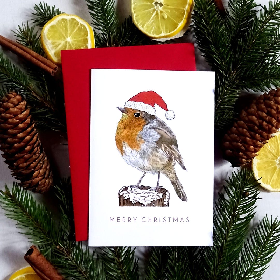 Robin Bird Christmas Card With Santa Hat, Merry Xmas Gift for Animal ...