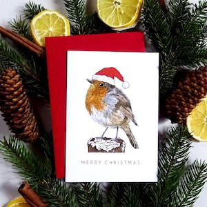 Carte de Noël Robin Bird avec bonnet de Noel, cadeau joyeux Noël pour amoureux des animaux, intérieur vierge, enveloppe incluse