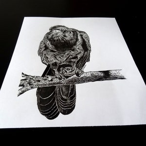 The Rook Bird Original Drawing for Corvid Lover Wall Decor | Etsy