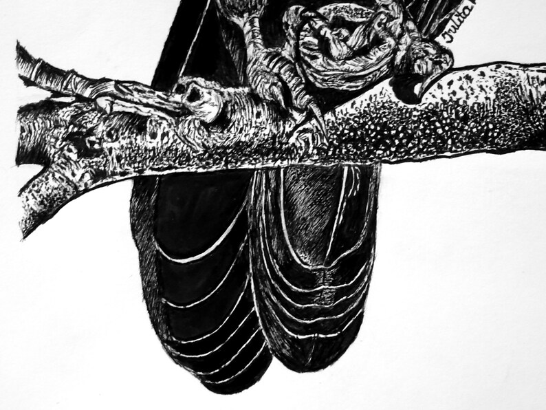 The Rook Bird Original Drawing for Corvid Lover Wall Decor | Etsy