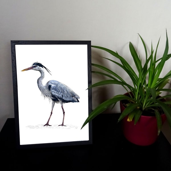 Grey Heron Print, Water Bird Wall Decor to Frame, Nature Illustration Hand-Printed, European Wildlife, Ornithology Poster, Gift for Her/Him