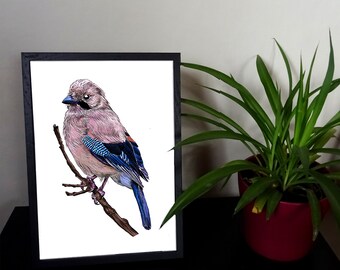 Eurasian Jay Print, Wall Decor Garden Bird Painting, Hand-Printed Animal Poster, Frameable Art for New Home Owner, Wildlife Lover Gift