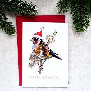 Tarjeta navideña con jilguero, pájaro con gorro de Papá Noel, fiestas con temática de naturaleza, entusiasta de la vida salvaje invernal, regalo elegante para los amantes de la observación de aves