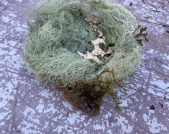 Echtes Vogelnest (aus Usnea)