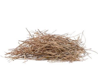 100,000+ pine needles organic, ready for basketry