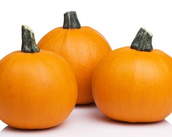 250 Seeds, West Coast Pie Pumpkin (Cucurbita pepo) — Seeds for Compact, High-Sugar Baking Pumpkins