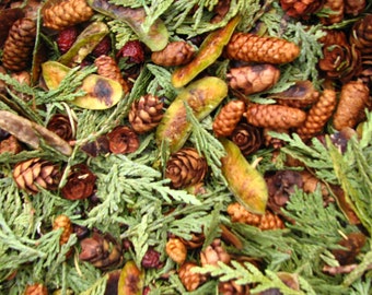 4 Unzen Pot Pouri, Regenwald Pot Pouri, erstaunliche Wald duftende Mischung, Entfesseln Sie Ihre Wild!