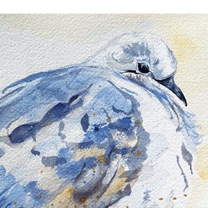 Fluffy Mourning Dove Original Watercolor Painting Print, 8X10 Size Available, One of a Kind Print, Original Artwork, Bird Lovers Art
