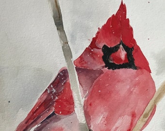 Red Cardinal Bird Original Watercolor Note Card, 4.25x5.5 Blank Inside Cd, Spring Bird, Thank You Card, Bird Nerd, Greeting Card, with env