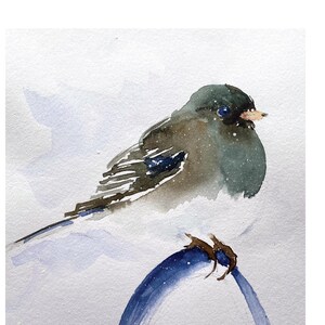May include: Watercolor painting of a small bird with dark gray and white feathers perched on a blue curved branch. The bird has a black head and a light brown beak. The background is a soft, light gray.
