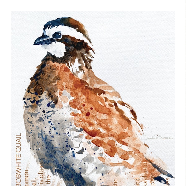 Bobwhite Quail Original Watercolor Note Cards, 4.25x5.5 Size, Blank Inside Cards, Invitation Cards, Handmade Greeting Cards with envelopes