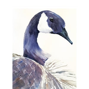 Original Watercolor Canadian Goose Note Card, 4.25x5.5 Blank Inside Card, Bird Enthusiast Card, Thank You Card, Greeting Card, with envelope