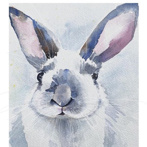 May include: A watercolor painting of a white rabbit with gray fur and pink ears. The rabbit is looking directly at the viewer with a curious expression. The background is a light blue watercolor wash.