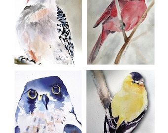 May include: A set of four watercolor paintings featuring birds: a red-crowned woodpecker, a bright red cardinal perched on a branch, a blue-toned raptor with large yellow eyes, and a yellow goldfinch with black and white wing markings.