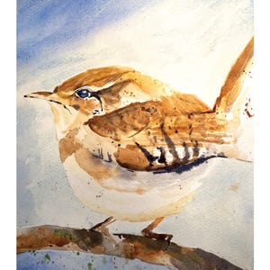 May include: Watercolor painting of a small bird perched on a branch. The bird has brown and white feathers, a blue eye, and a long beak. The background is a soft blue and white wash, creating a serene and natural scene.