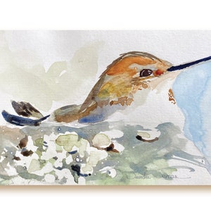 May include: Watercolor painting of a hummingbird with brown, orange, and blue feathers, perched on a bed of white flowers. The bird's eye is visible and the painting is signed "Danelle Duncan".