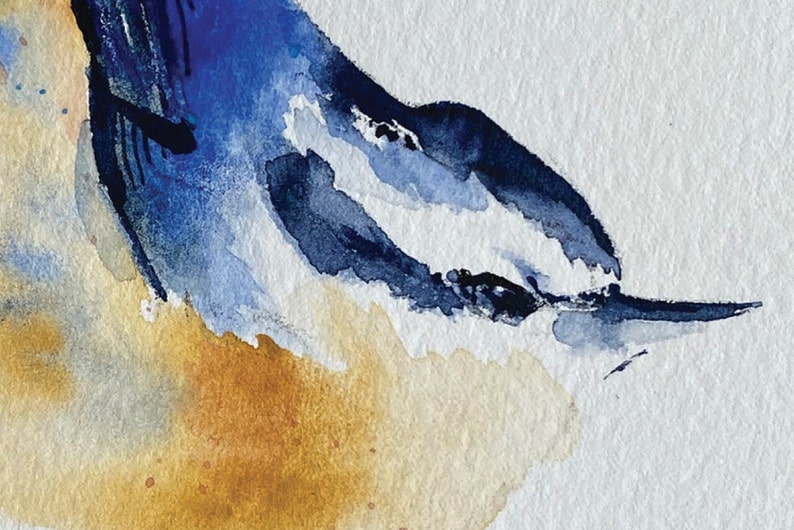 May include: Watercolor painting of a bluebird's head and neck. The bird's eye is visible, and the beak is open slightly. The background is a light gray.