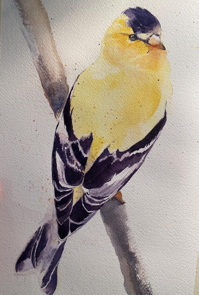 Goldfinch Watercolor Art Note Cards: Bird Lover Gift - Etsy