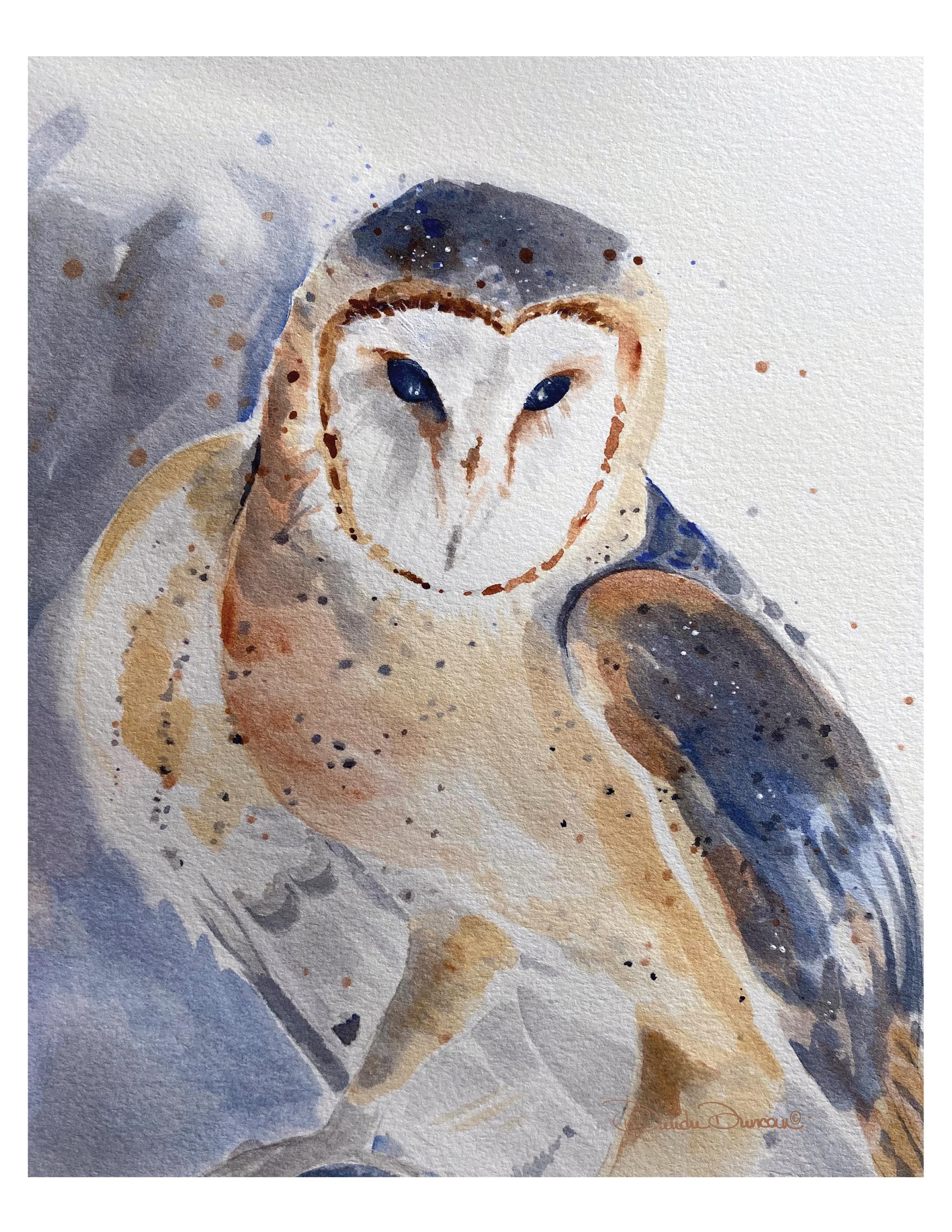 8X10 Barn Owl Original Watercolor Painting Print, Raptor Owl Print, Limited Numbered Print, Signed b