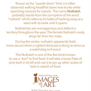 May include: A brown and white illustration of a Nuthatch bird, a small songbird, with the text "Known as the "upside down" bird, it is often observed walking headfirst down tree trunks while searching crevices for insects. The name Nuthatch probably results from the corruption of the word "nuthack" which refers to it's habit of hacking away at a seed with its beak until it opens." The illustration is on a white background.