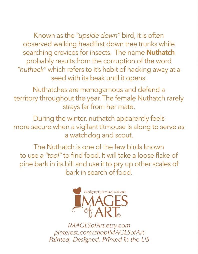 May include: A brown and white illustration of a Nuthatch bird, a small songbird, with the text "Known as the "upside down" bird, it is often observed walking headfirst down tree trunks while searching crevices for insects. The name Nuthatch probably results from the corruption of the word "nuthack" which refers to it's habit of hacking away at a seed with its beak until it opens." The illustration is on a white background.