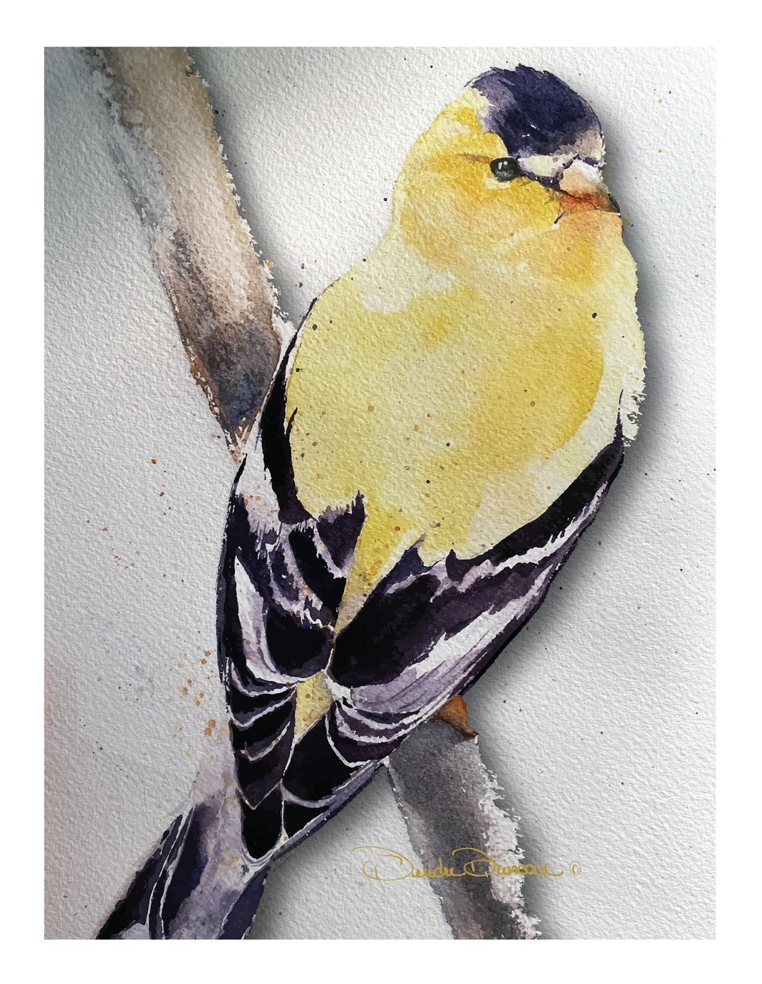 Goldfinch Watercolor Art Note Cards: Bird Lover Gift - Etsy