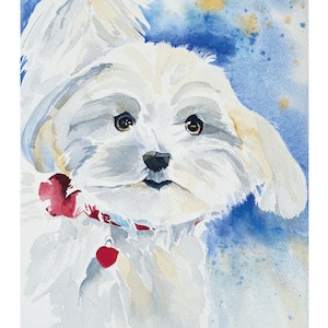 May include: Watercolor painting of a white dog with a red collar and a heart-shaped tag. The dog is looking directly at the viewer with a sweet expression. The background is a light blue with white and yellow splatter paint.