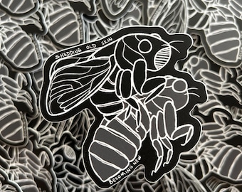 Shedding Skin Cicada Vinyl Sticker