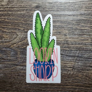 Cactus Lookin Sharp pegatina de vinilo impermeable