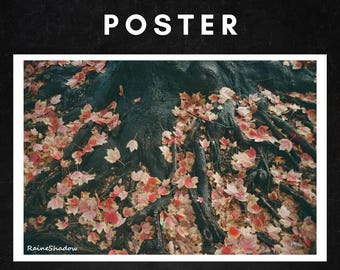 Fallen Leaves Poster - 18x12 - Photography Poster Print - Fine Art by RaineShadow