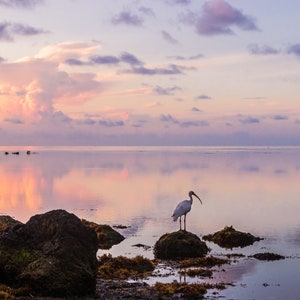 Sunrise over Ocean | Colorful Sky | Ocean Reflection | Metallic Print | Miami Sunrise | Wall Decor | Coastal and Tropical | Nature Art |