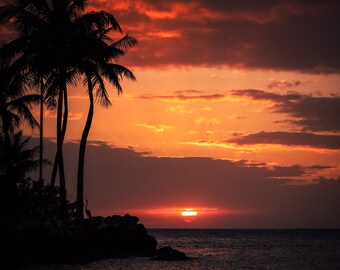 Society6 ケース Hawaii Sunset Palm Tree Sea Hawaii Painting Sunset on Canvas Palm Trees Original Art