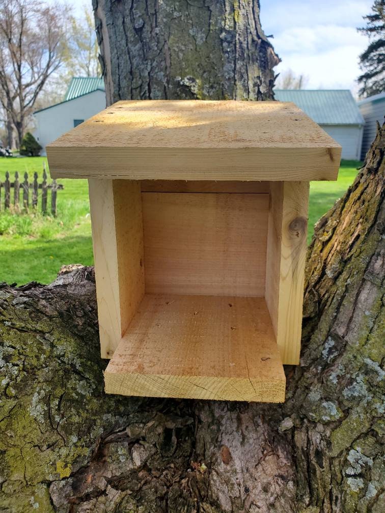 Economy version Robin Cardinal Dove Nesting Box  Nesting Ledge Nesting Shelve  