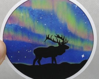 Night sky nature stickers!