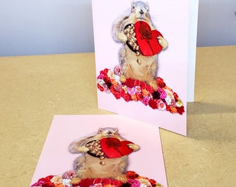 I'm Nuts About You Cards, Set of 8, Funny Squirrel Valentine's Day