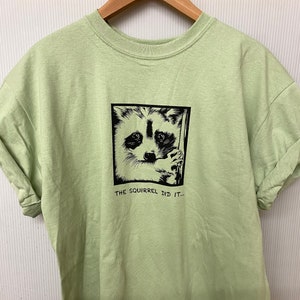 May include: A light green t-shirt with a black and white raccoon graphic inside a black square. The text "THE SQUIRREL DID IT..." is below the graphic. The shirt is hanging on a wooden hanger.