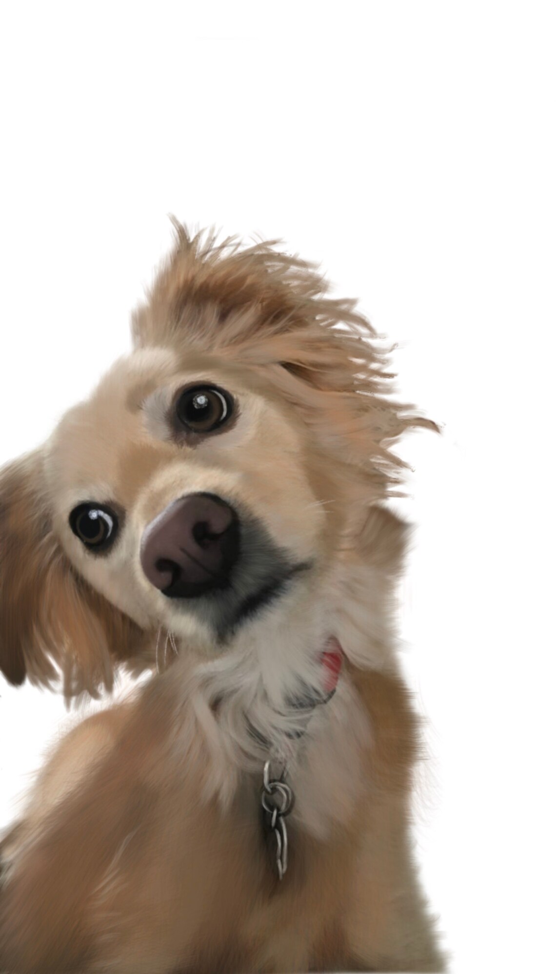 Portraits d'animaux de compagnie Etsy