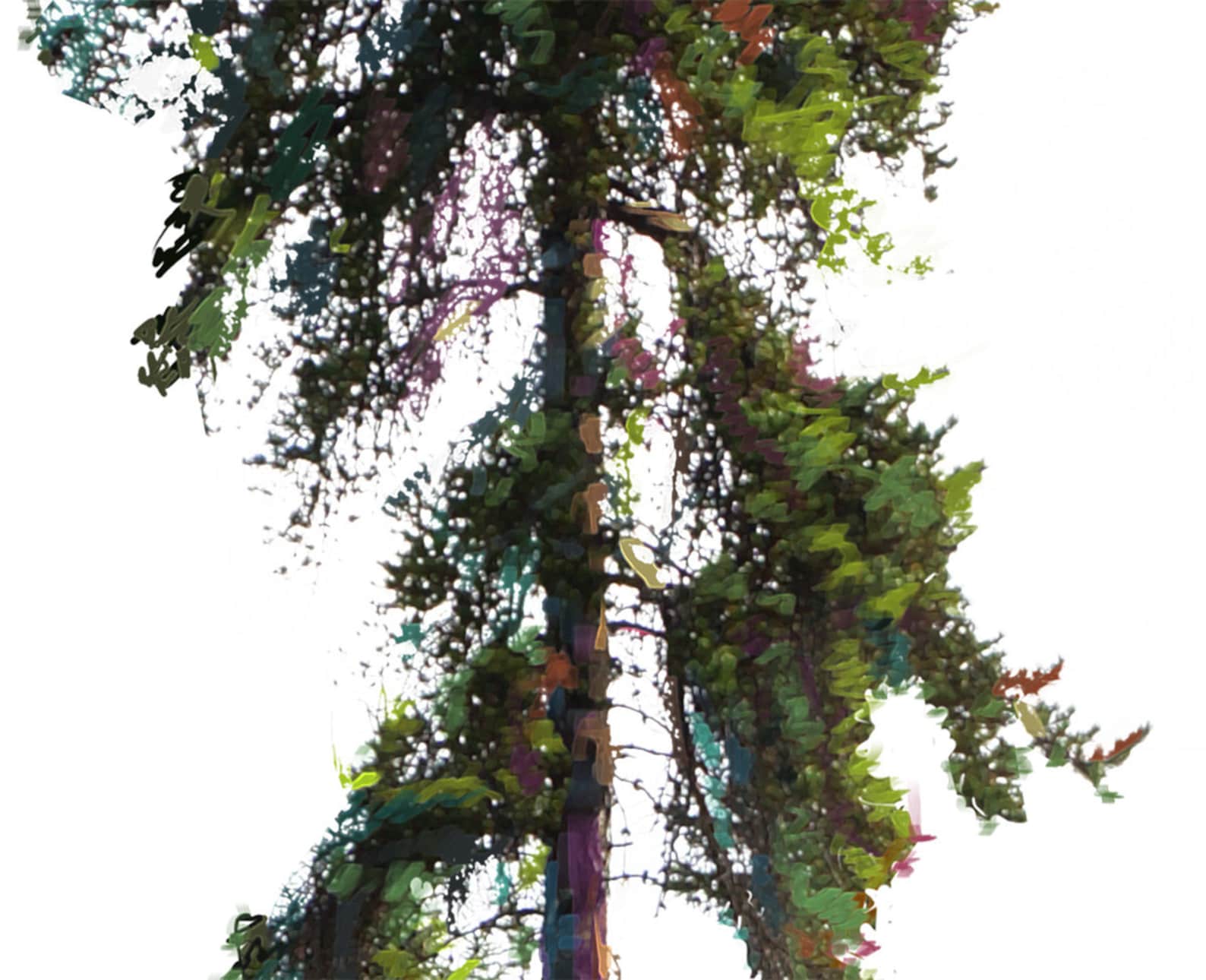 Jack Pine Digital Print Etsy