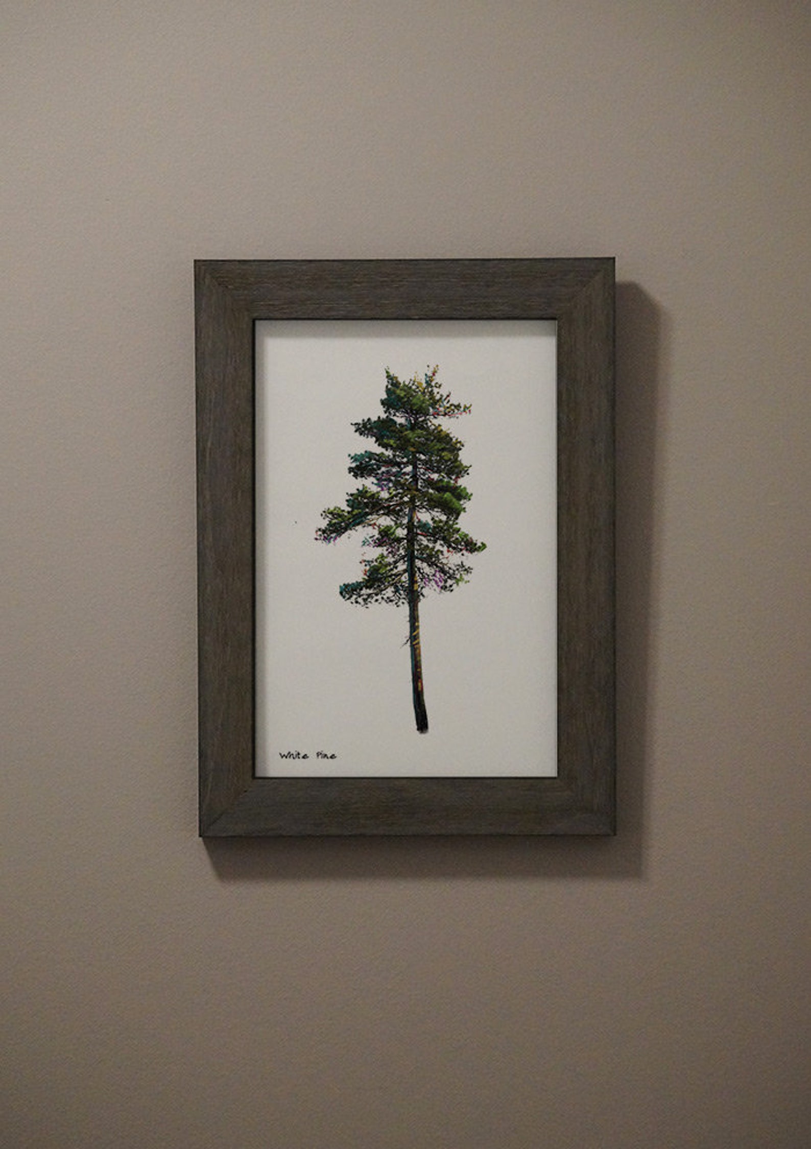 White Pine Digital Print - Etsy