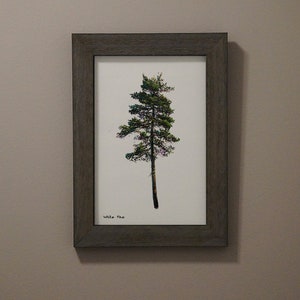 White Pine Digital Print - Etsy