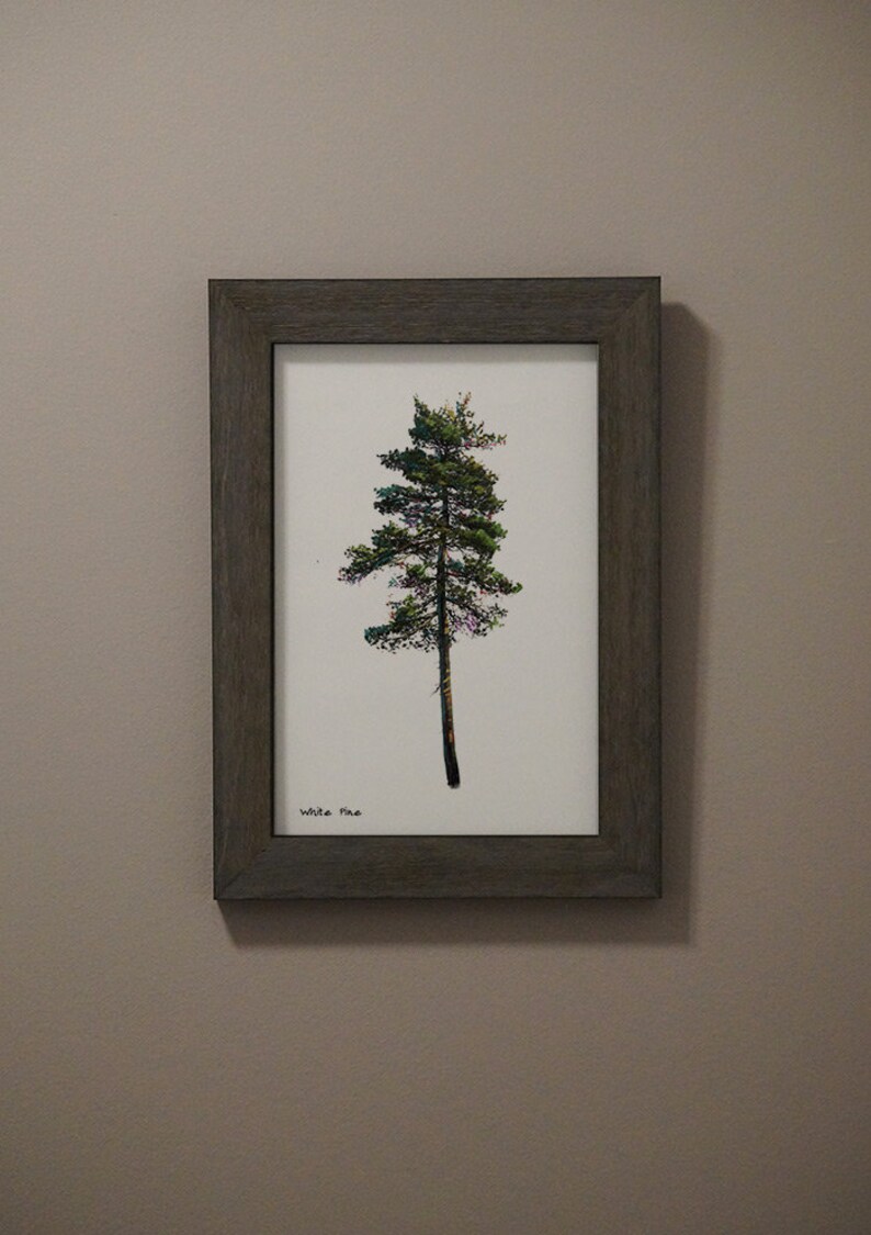 White Pine Digital Print - Etsy