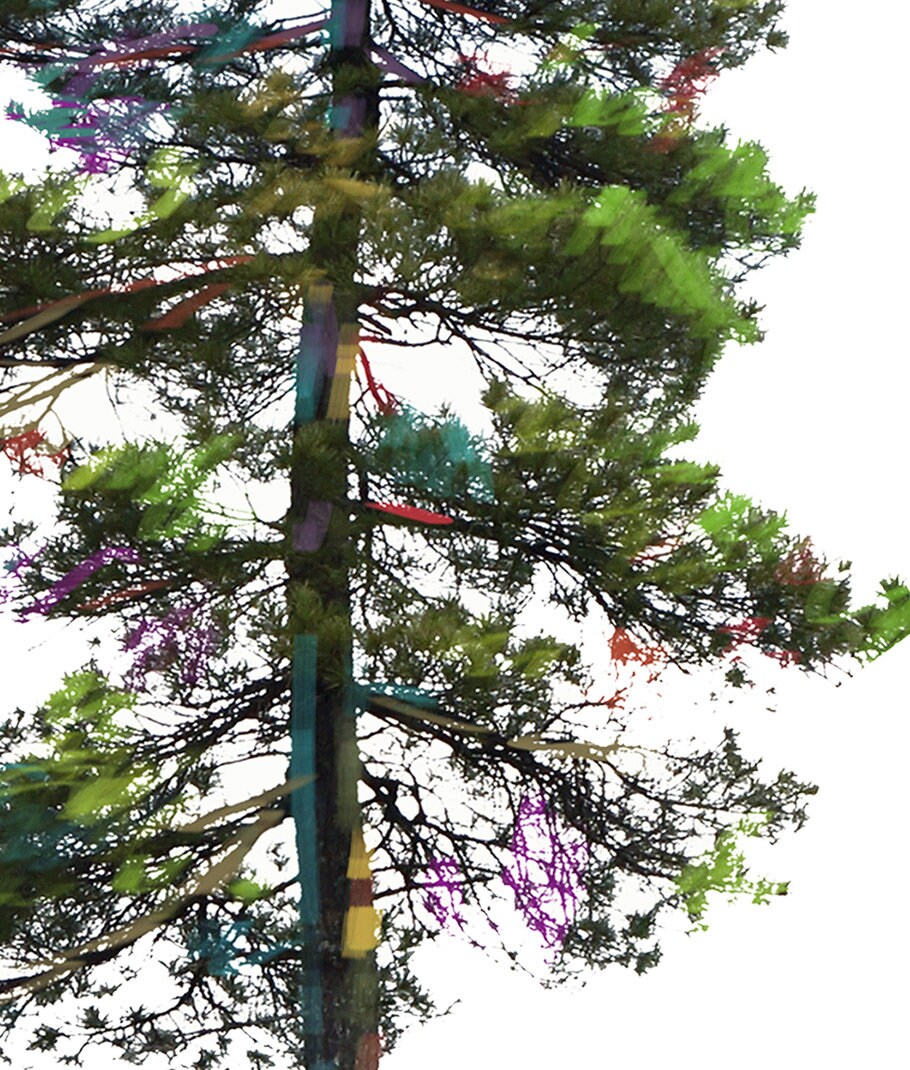 White Pine Digital Print - Etsy