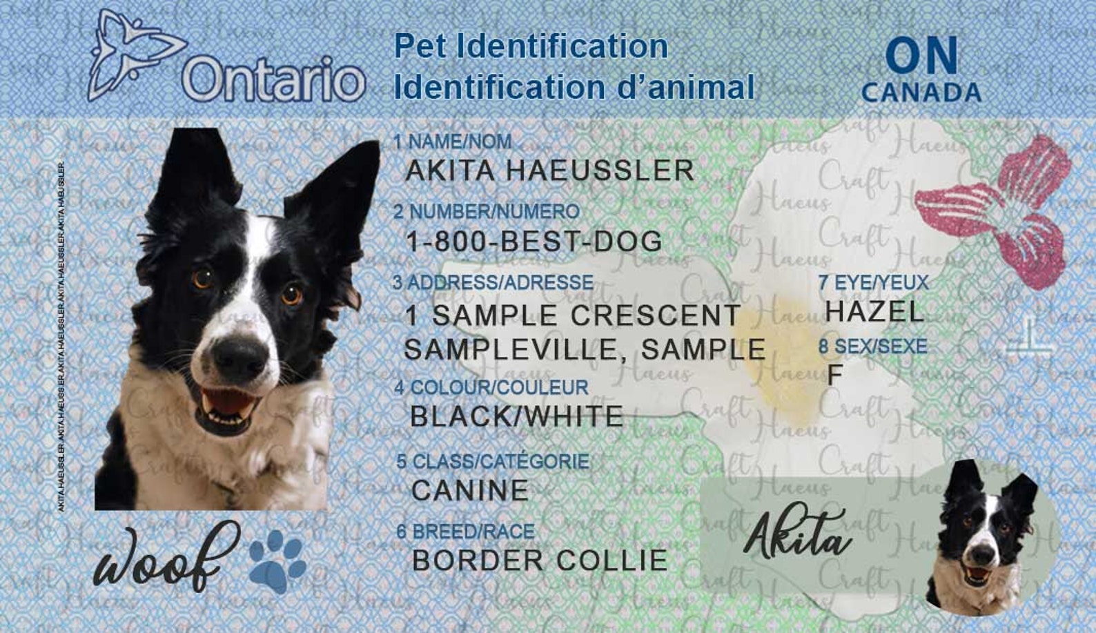 Digital file Ontario Pet Identification Driver's Etsy